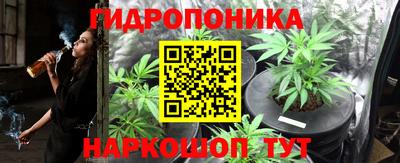 твердый Краснознаменск