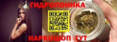 крисы Краснокаменск