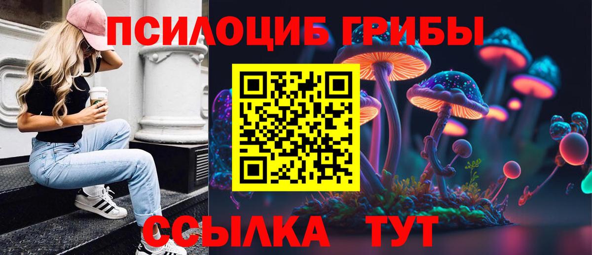 Галлюциногенные грибы MAGIC MUSHROOMS Качканар
