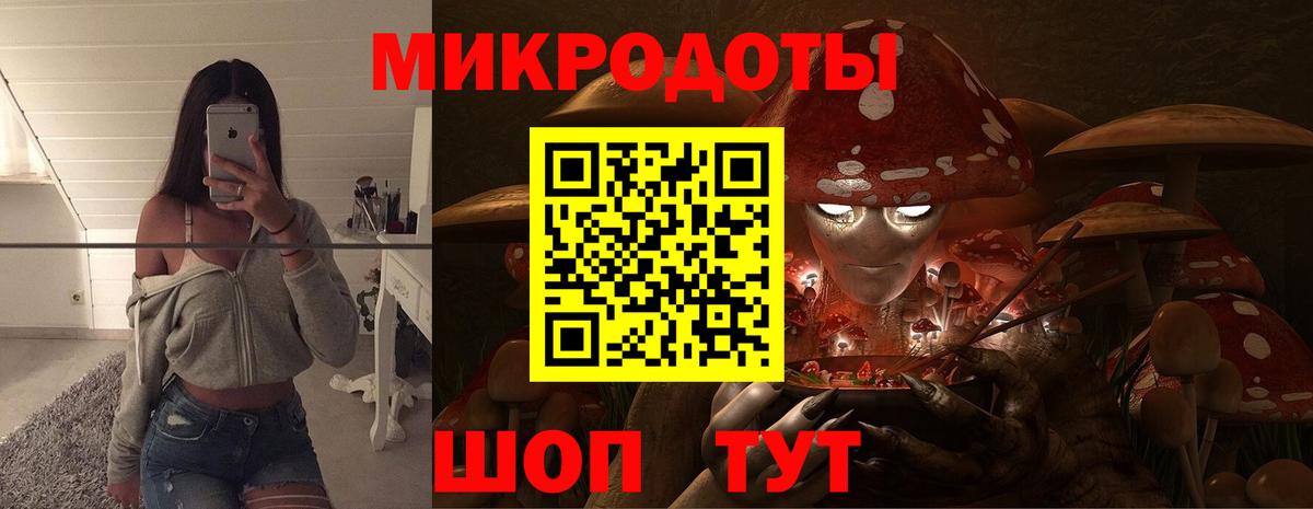 Качканар  Псилоцибиновые грибы Psilocybine cubensis  Вход с VPN  Псилоцибиновые грибы прущие грибы 